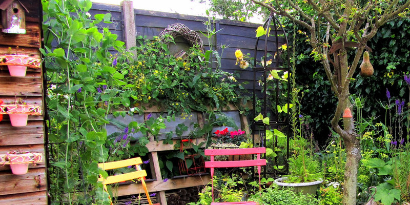 Guest Picks: Mrs. Lilien's Punchy Veranda